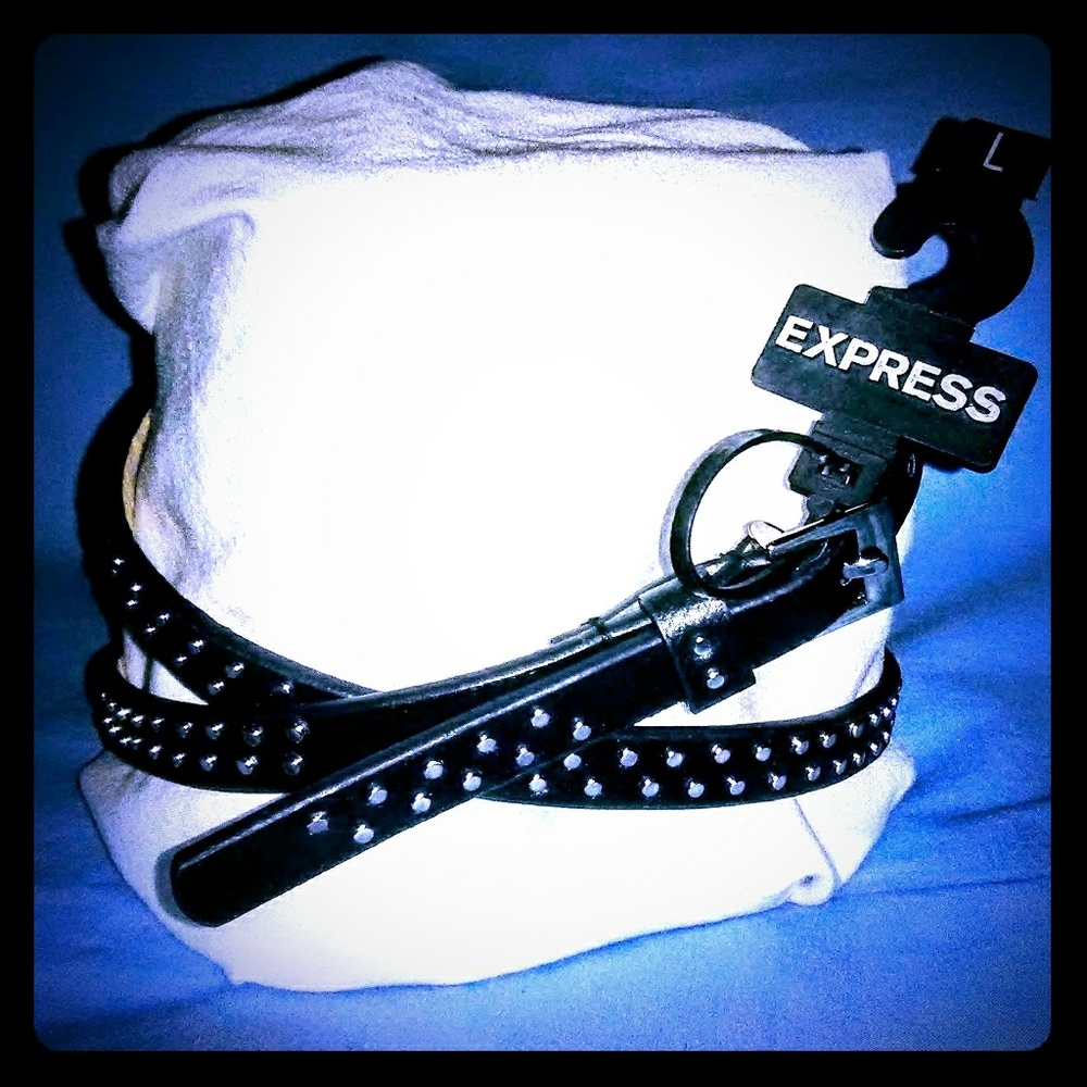 Express women's studded belt